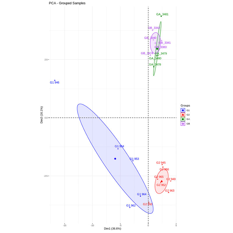 Graph 5